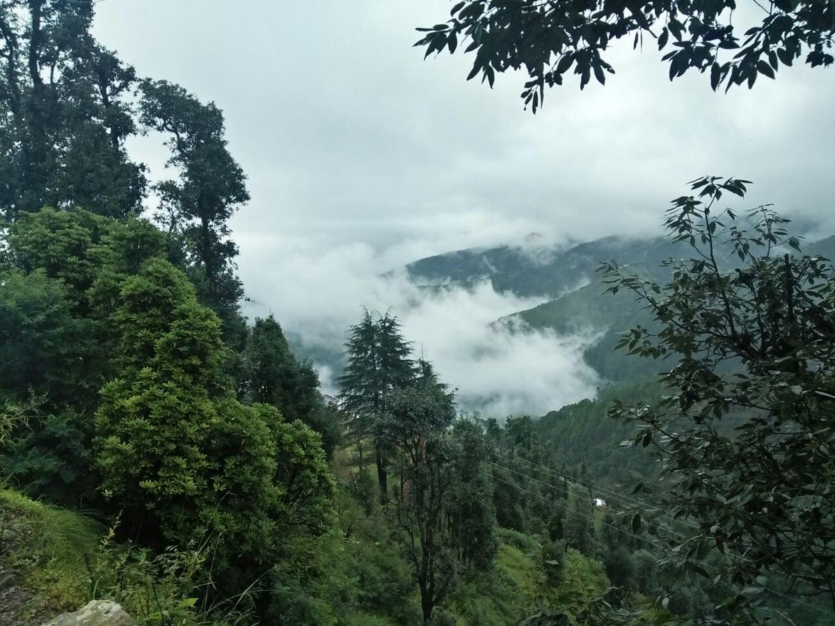 Hotel Oyo 11877 Royal Residency New Tehri Zimmer foto